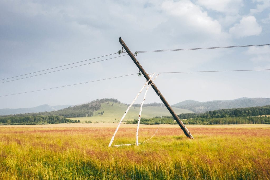 Utility Pole being propped up by trees after it has failed due to decay Utility Pole Being propped up after it has failed