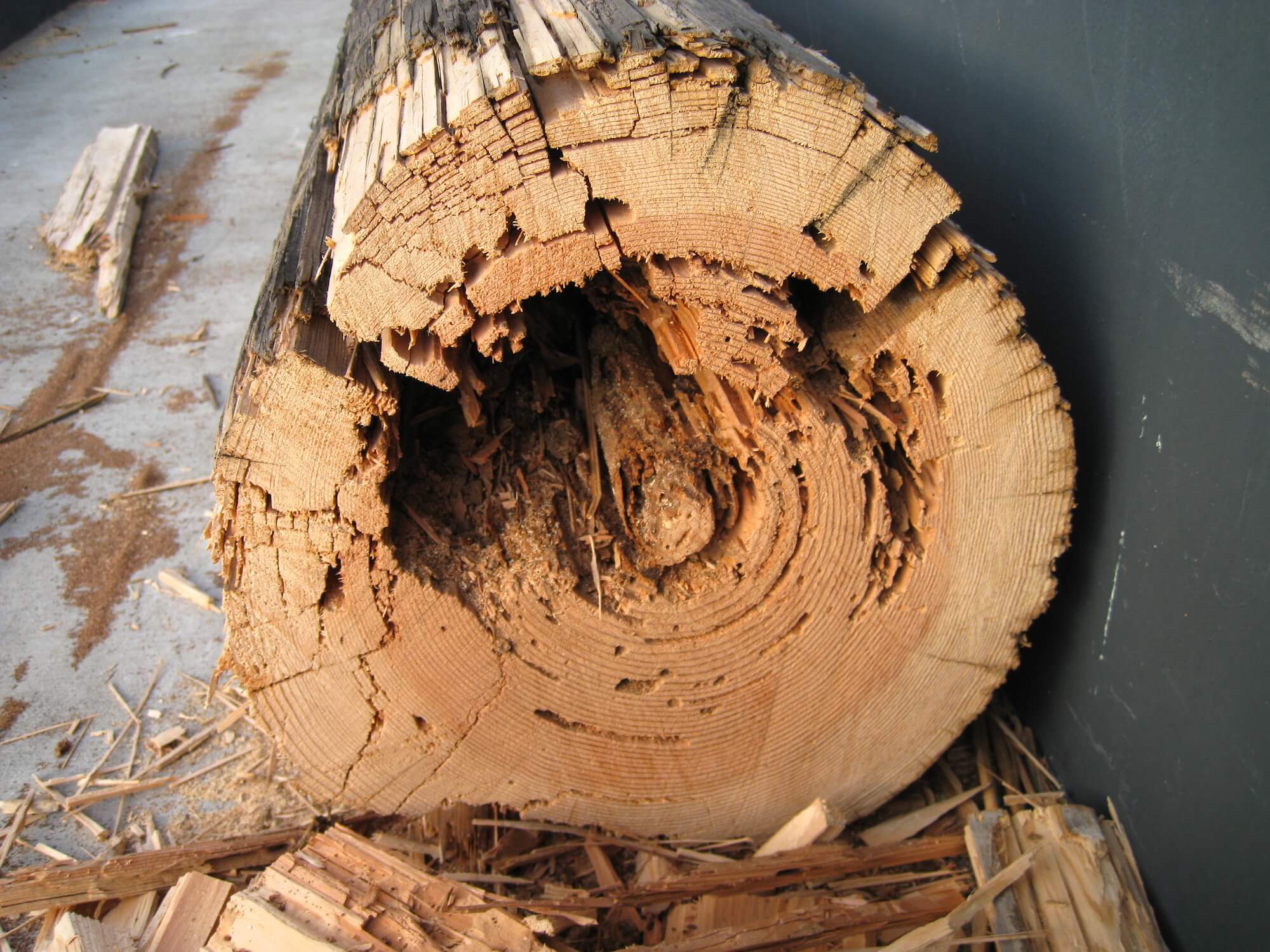 Image showing core rot in a wooden utility pole