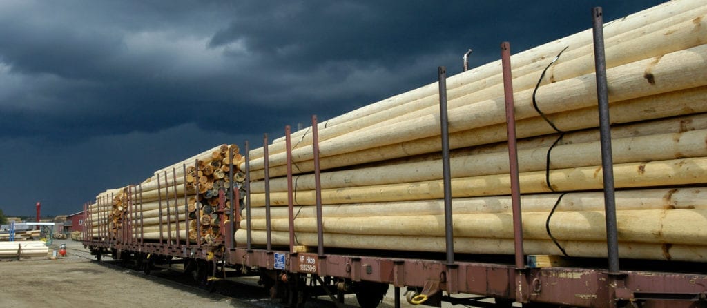 Wooden Utility Poles On Train