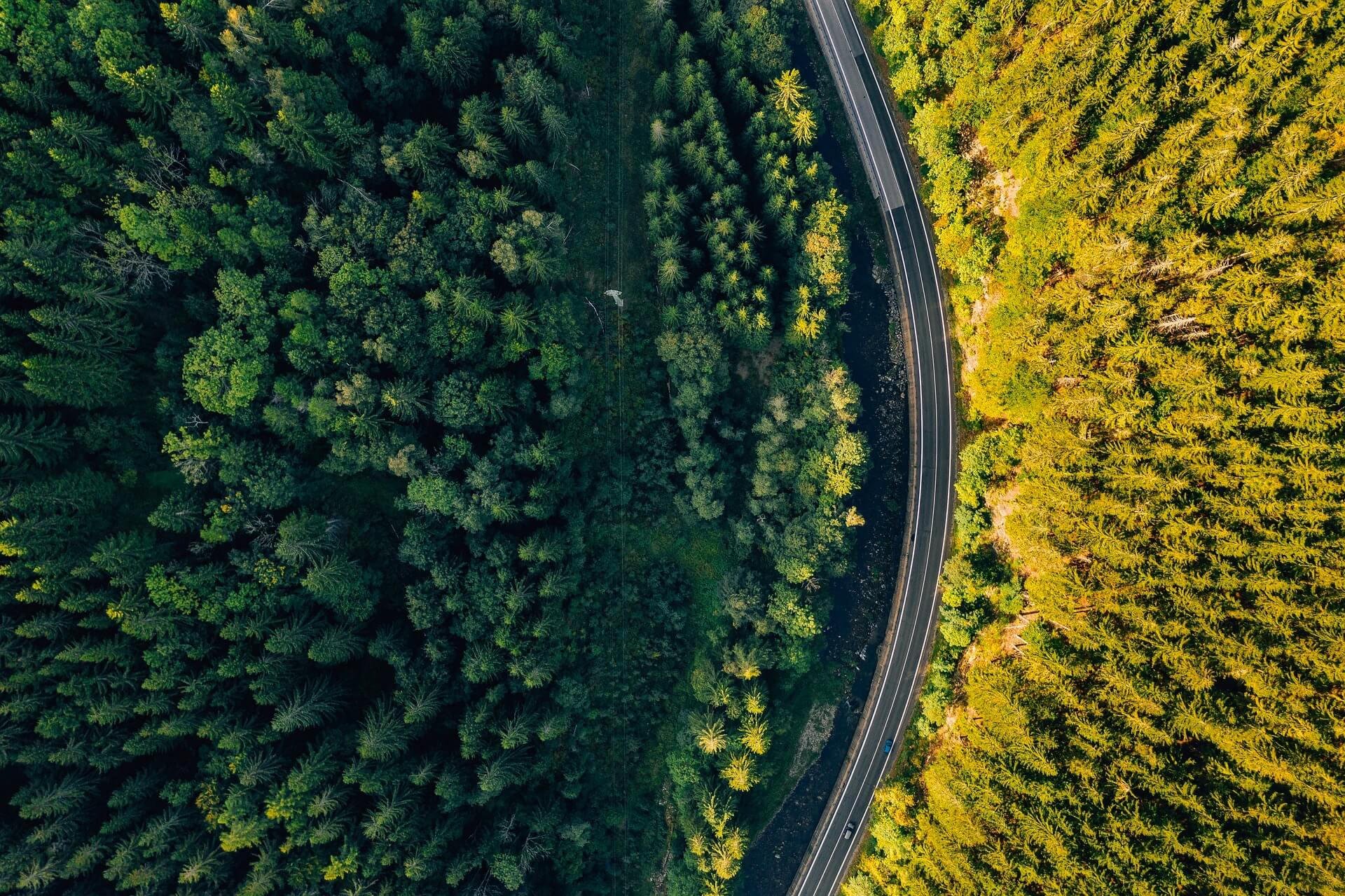 Aerial photograph of a forest with a road running through it, showing how Polesaver is the Natural choice due to the fact it reduces tree felling