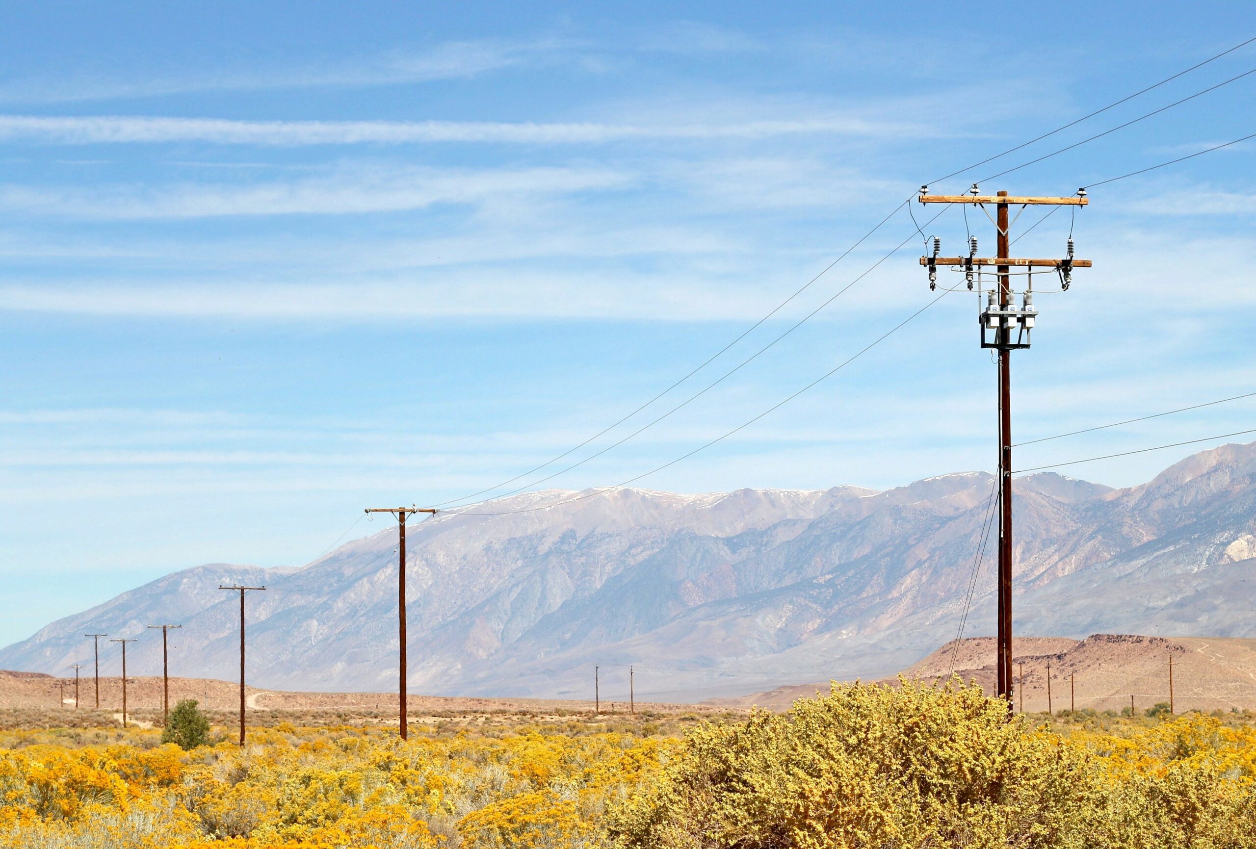 Termi-Guard™ anti-termite protection - Poles in a desert with mountain background