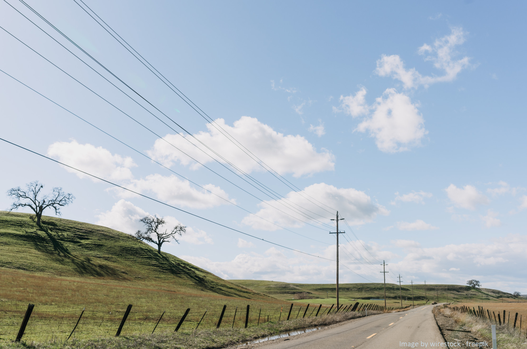Utility poles on a highway