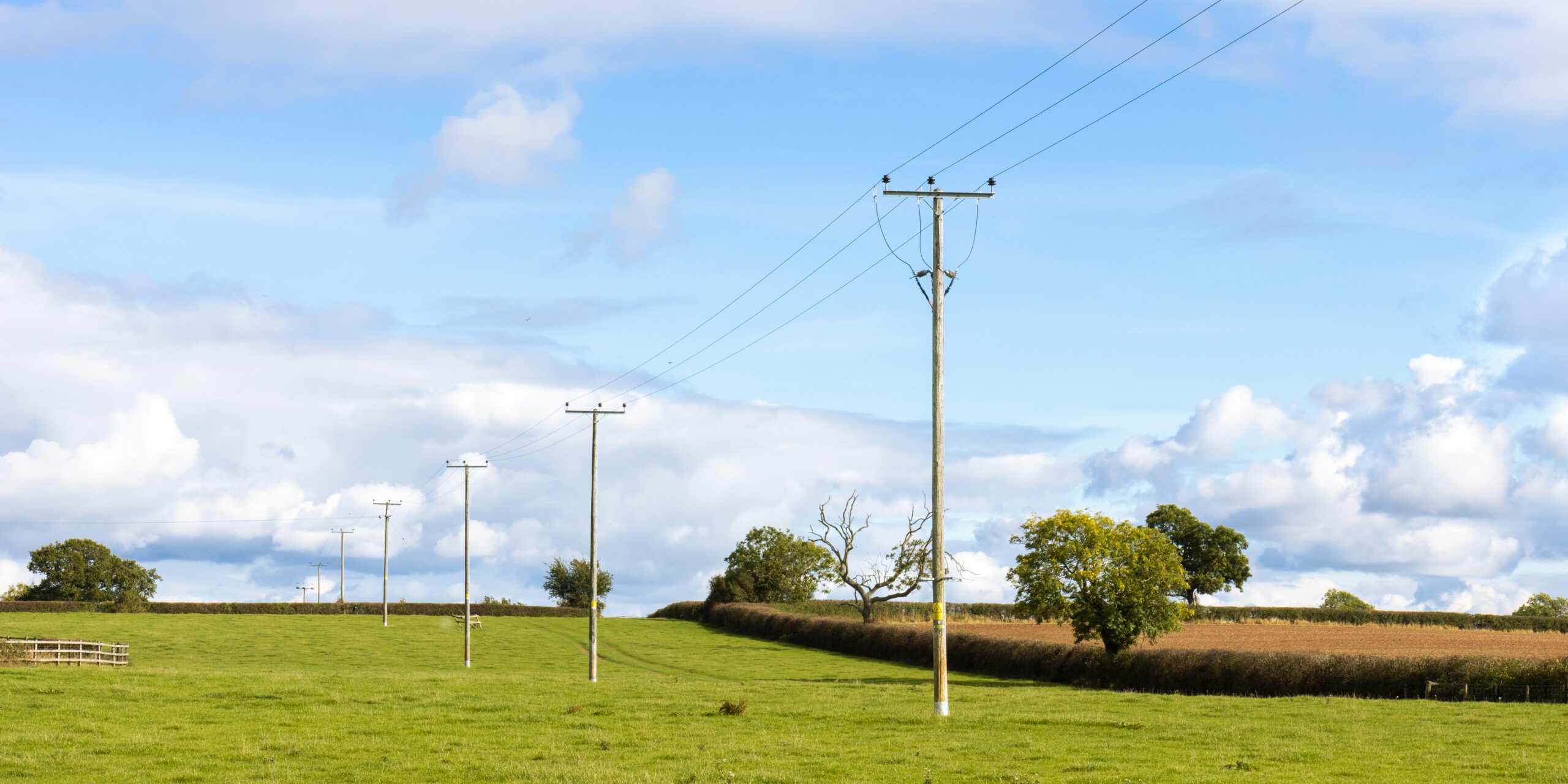 Utility Poles on Landscape