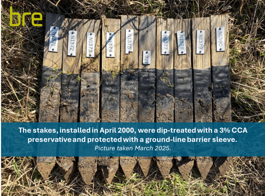 BRE Test Stakes - 2025